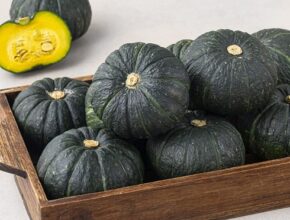 [ 트위터에서 대박 난 ] 2024 제주하씸 미니단호박 4kg  4kg 총 8kg 지금 주문하세요