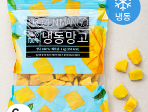 [ 인스타를 통해 검증 된 ] 냉동망고 꼭 구매하세요