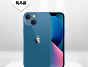 가장 잘나가가는 아이폰 13 미니 지금 주문하세요