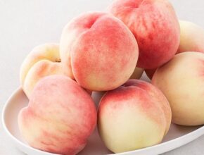 가격과 리뷰가 제일 좋은 24년 경북 영천 아삭이 복숭아 3kg2박스  총 6kg 고객평가 5점 만점