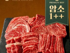 놓치면 후회하는 한우 선물세트 가장 핫한 제품