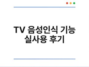 TV 음성인식 기능 실사용 후기